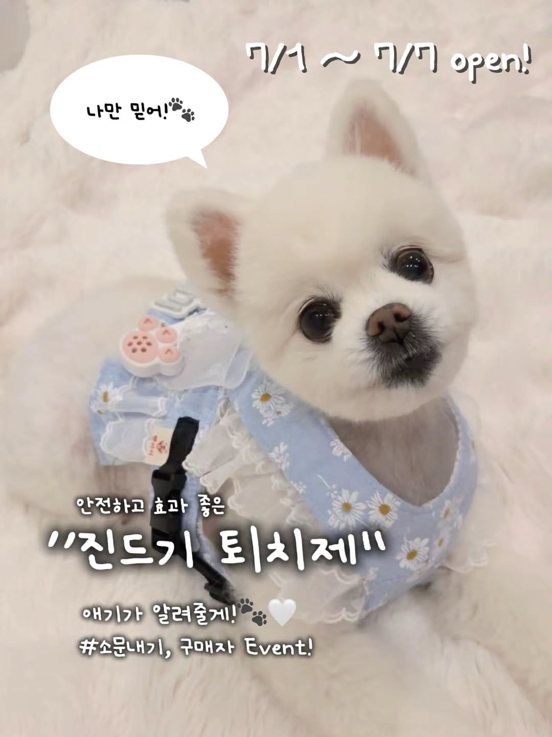 멍가드