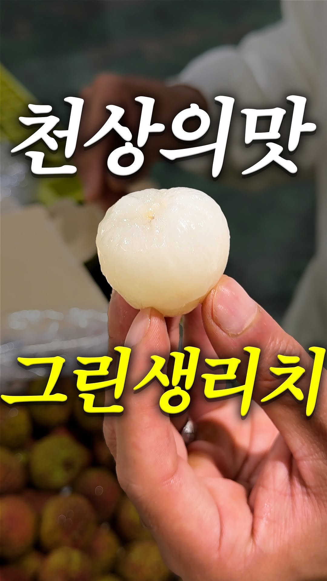 생리치