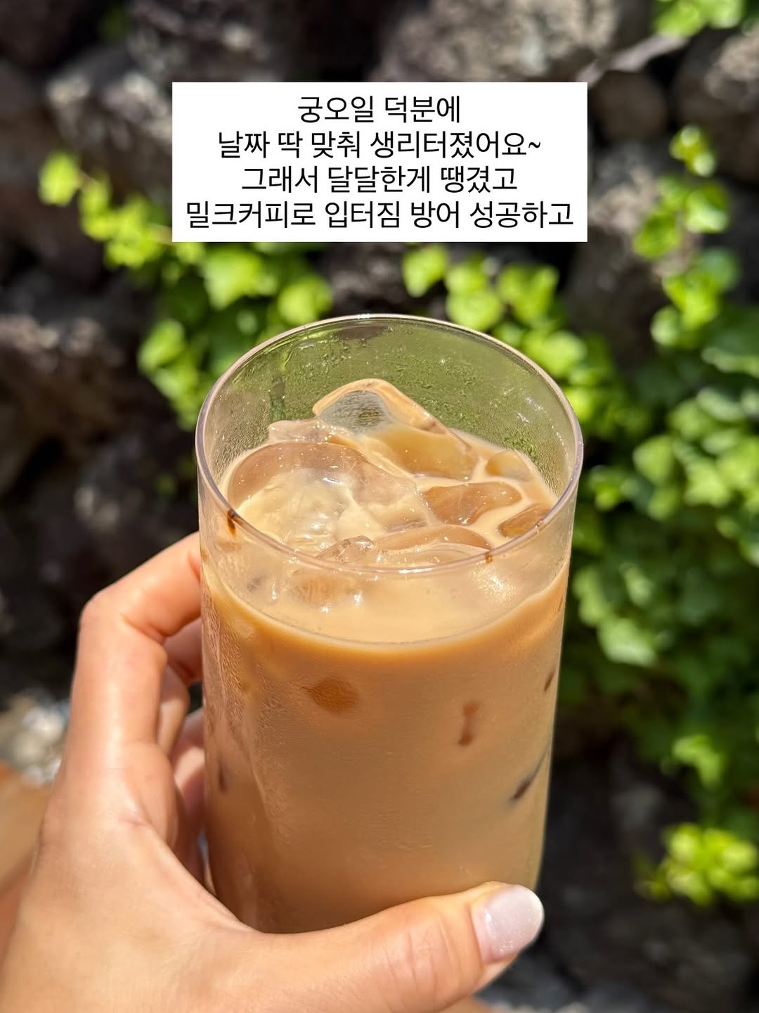 44밀크커피