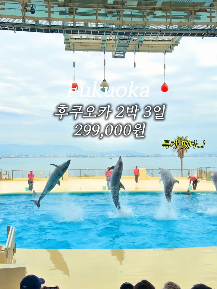 후쿠오카 땡처리급 특가 (왕복 항공권 + 숙소 2박 + 여행자보험)