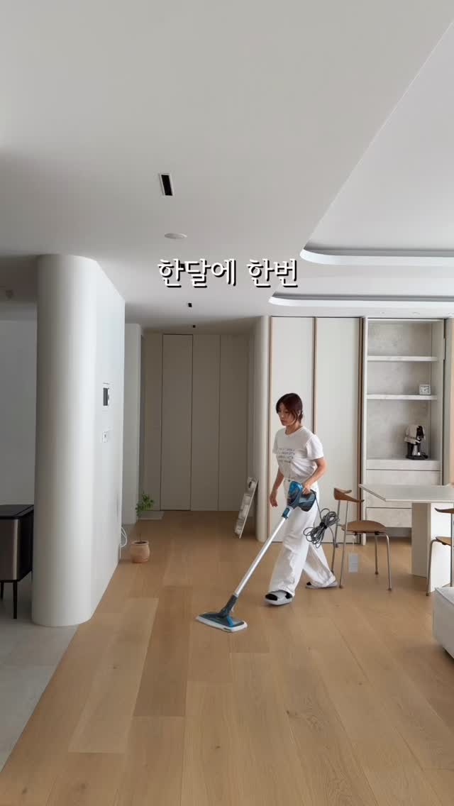 비셀 스팀청소기