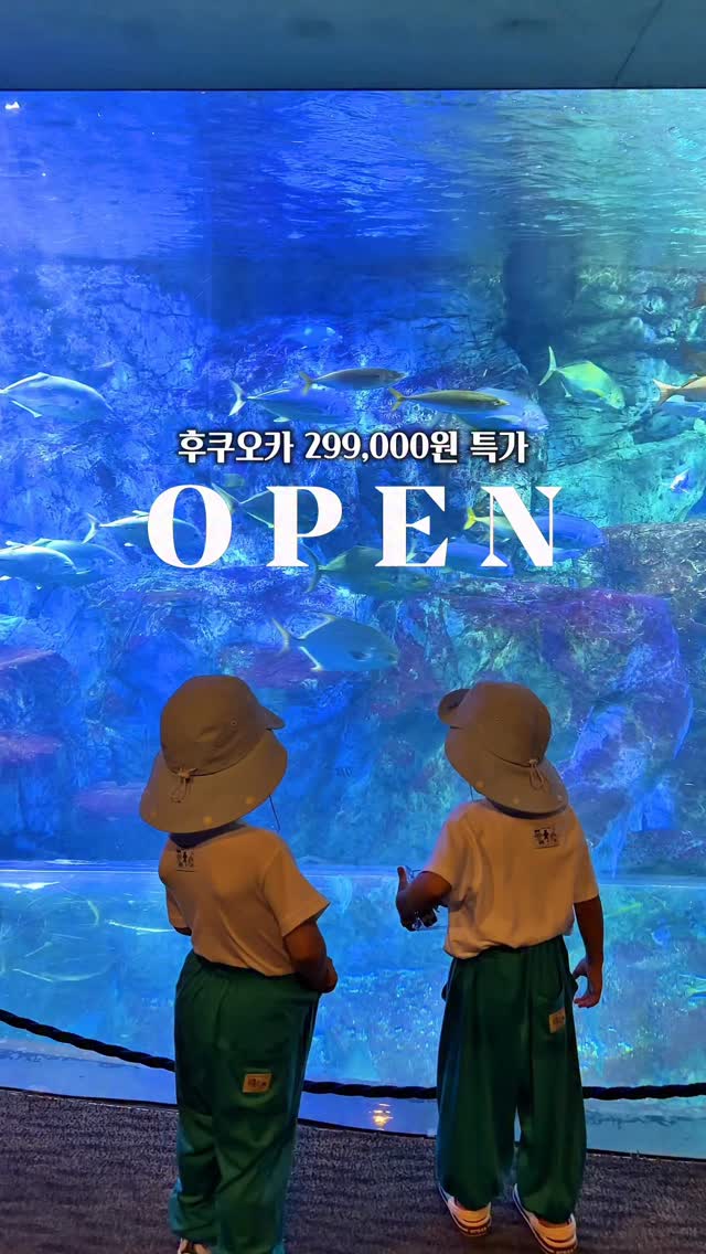 후쿠오카 땡처리특가 라이브