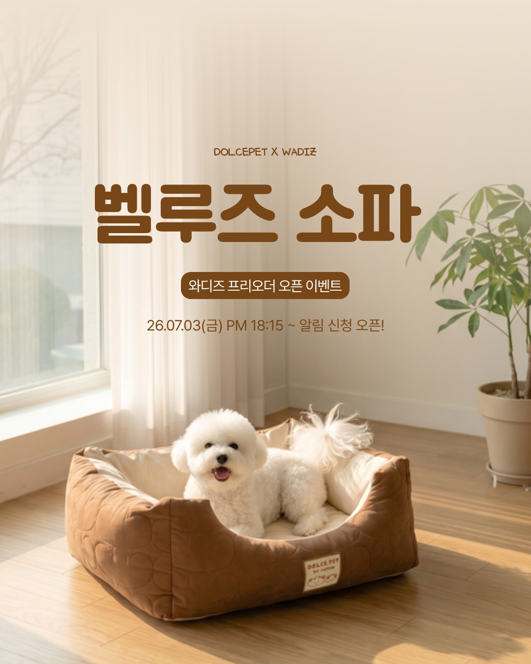 벨루즈 소파 프리오더 알림 신청 이벤트