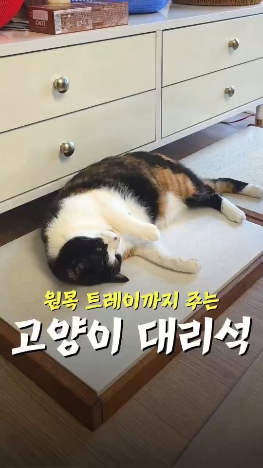 원목트레이+아이스팩+물받이 대리석