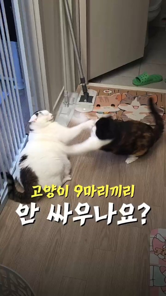콘센트형 진정 디퓨저