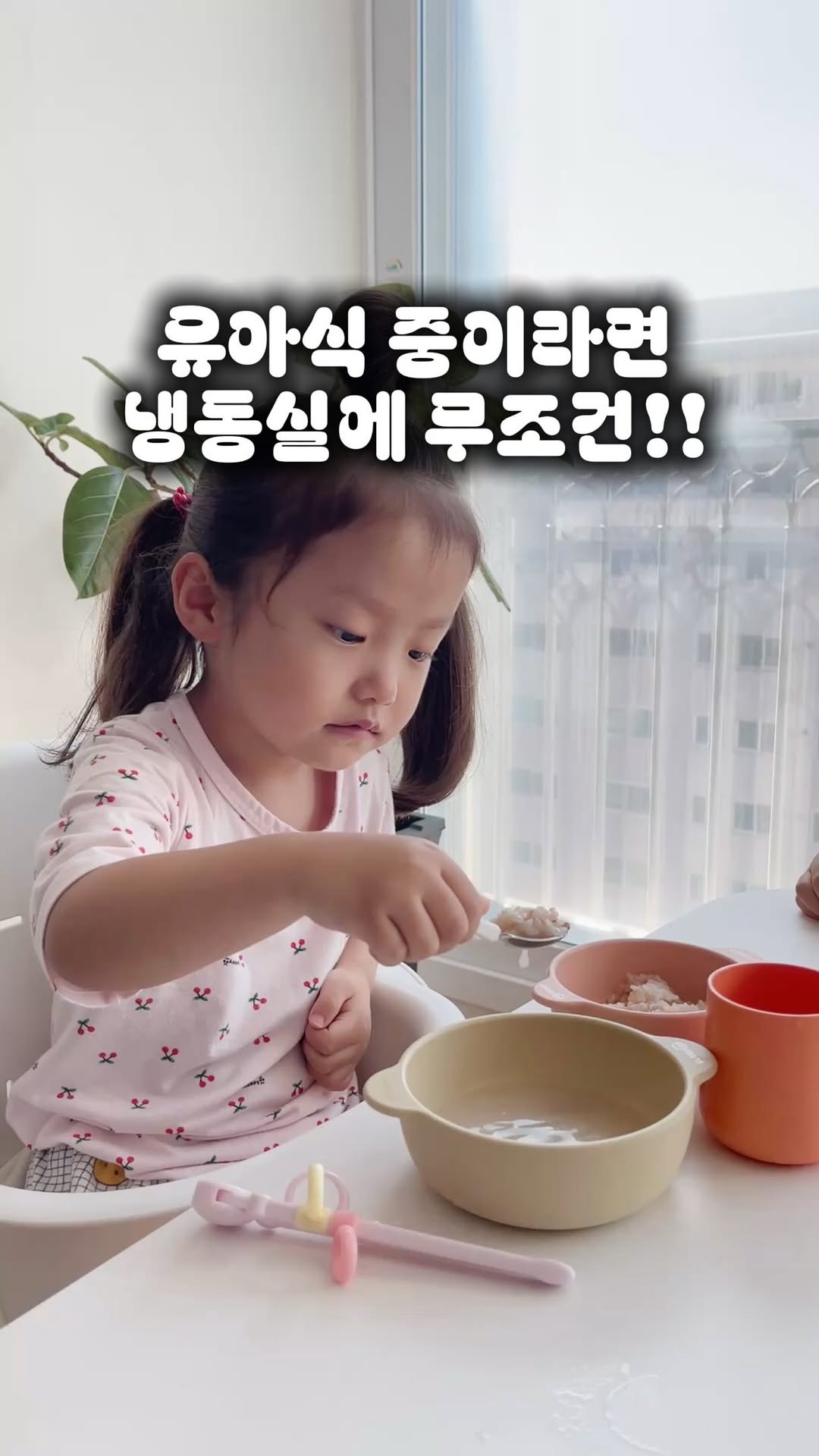 무염 아이곰탕 3종 (한우곰탕, 나주곰탕, 닭곰탕) 및 아기 소고기 (다짐육, 구이용)