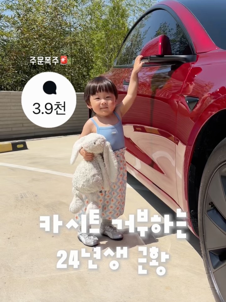 시크 아이폴드T 카시트
