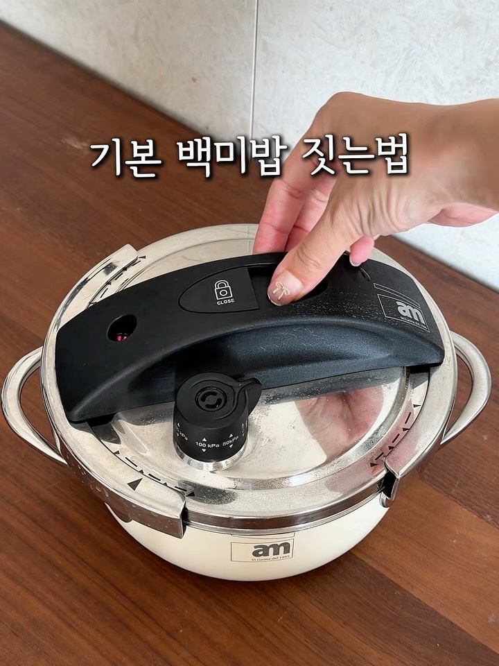 프리미엄 접시팬 바첸(+신상)🕊️